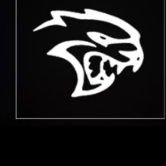 2 Challenger Hellcat Car Door Projector Ghost Shadow lights - Picture 1 of 4